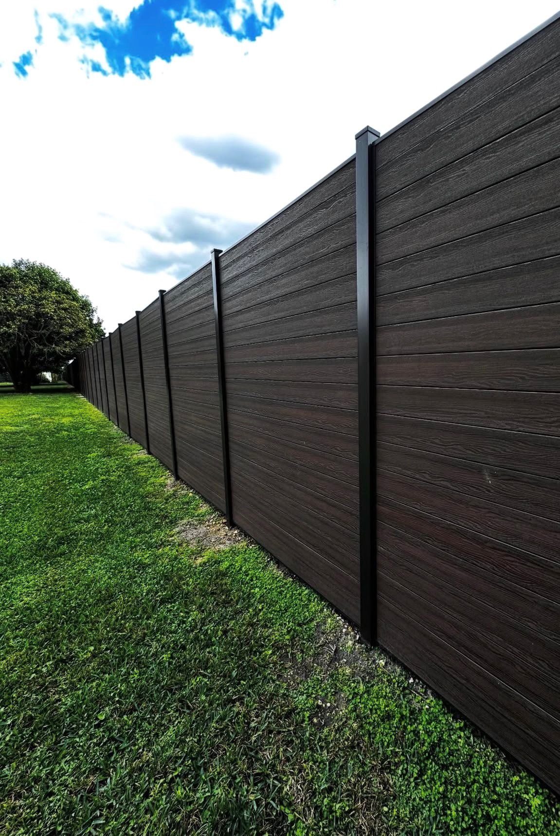 fence 1